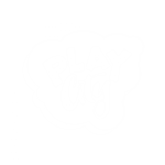 playcity-parc-aquatique-familial-puget-sur-argens-83